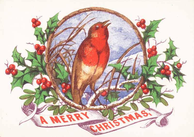 Robin que canta no ramo, cartão de Natal de English School