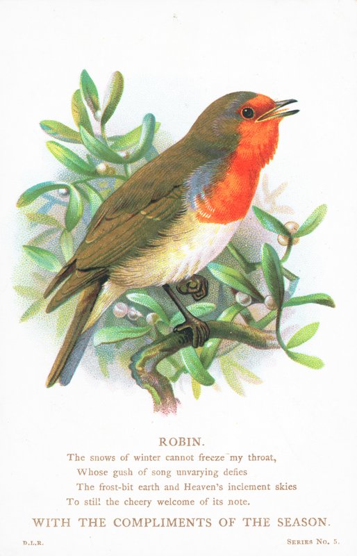Robin que canta no ramo, cartão de Natal de English School