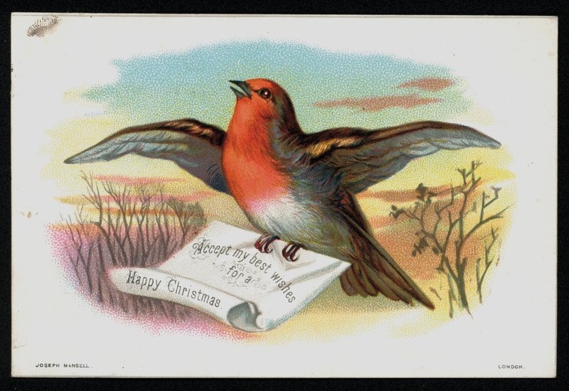 Robin com uma mensagem de Natal, cartão de felicitações. (chromolitho) de English School