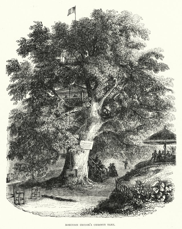 A castanheira de Robinson Crusoe (gravura) de English School