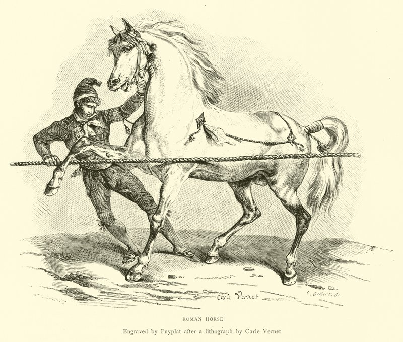 Cavalo romano de English School
