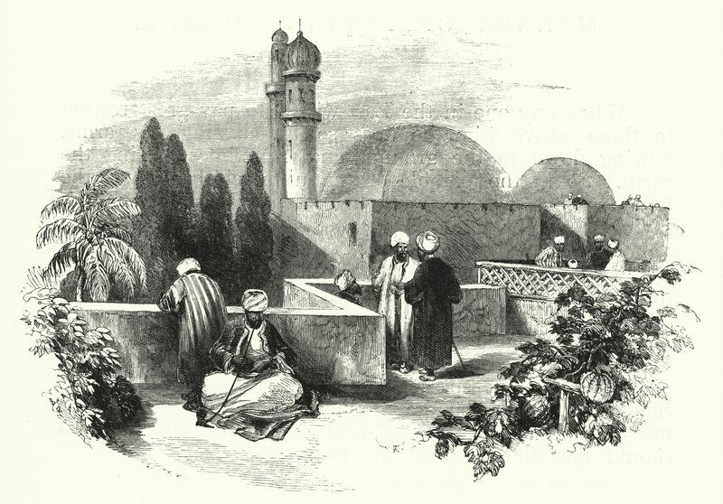 Terraço de telhado (gravação) de English School