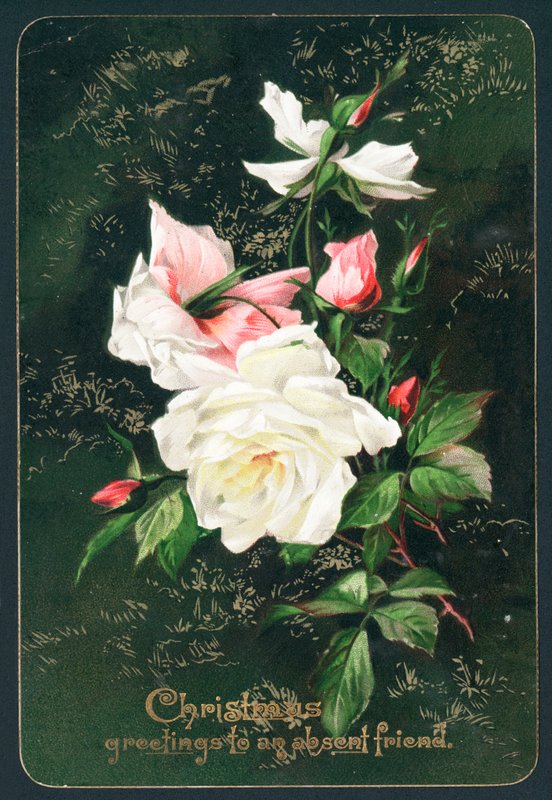 Rosas, cartão de Natal de English School