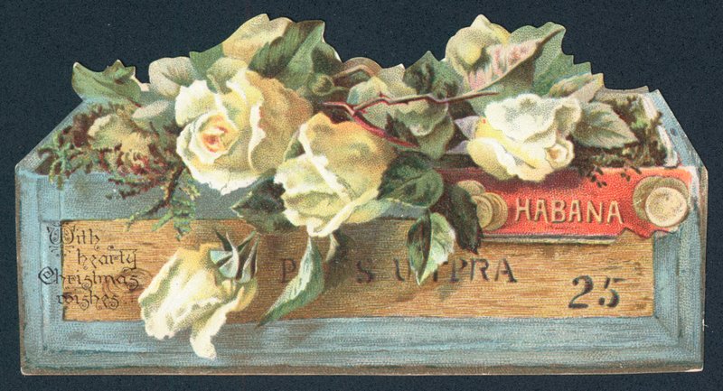 Rosas na caixa de charuto, cartão de Natal de English School
