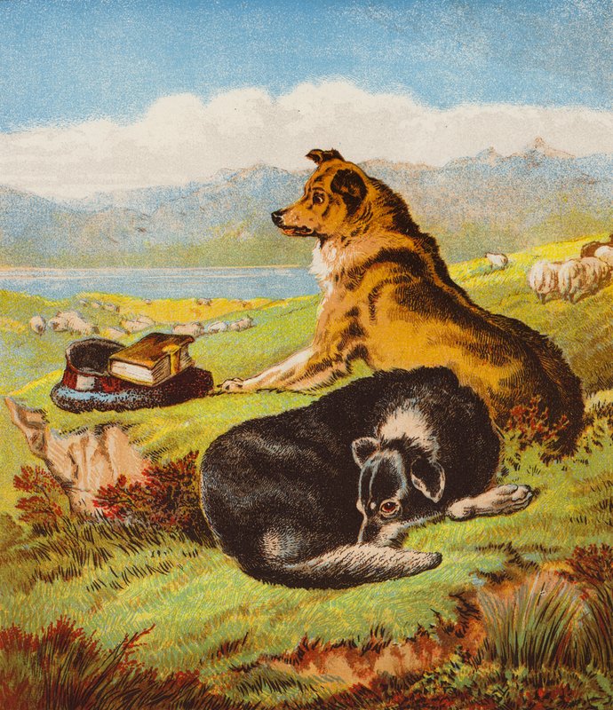 Rover e Hector (litografia a cores) de English School