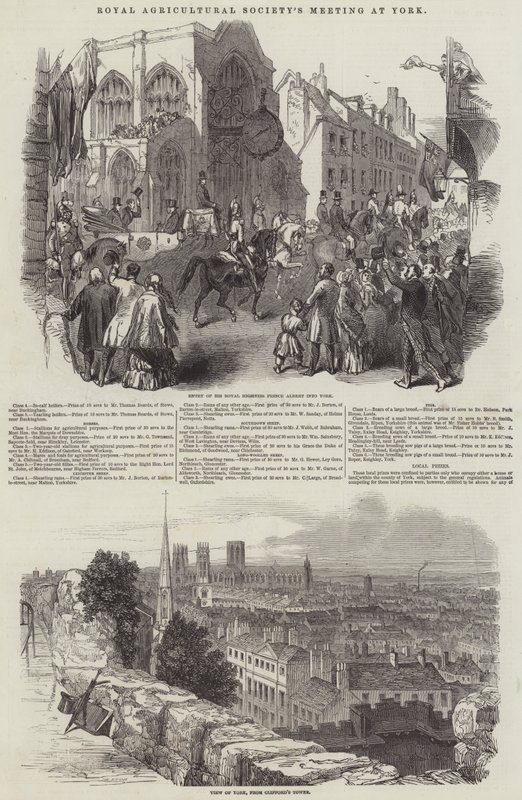 Reunião da Royal Agricultural Society, em York (gravura) de English School