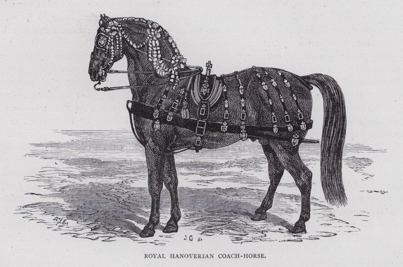 Royal Hanoverian Coach-Horse (gravura) de English School