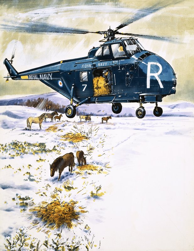Helicóptero da Marinha Real usado para resgate de animais de English School
