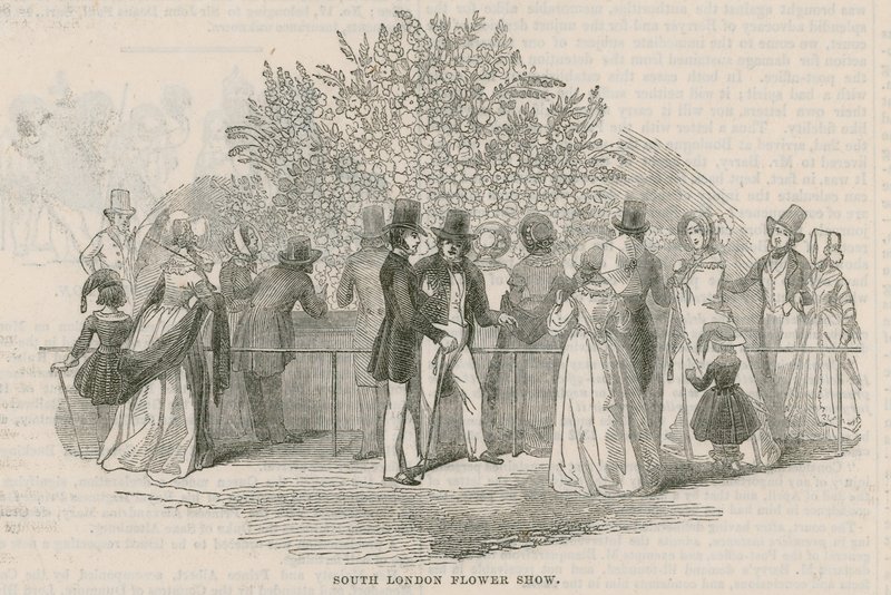 Sociedade de Horticultura Royal South London de English School
