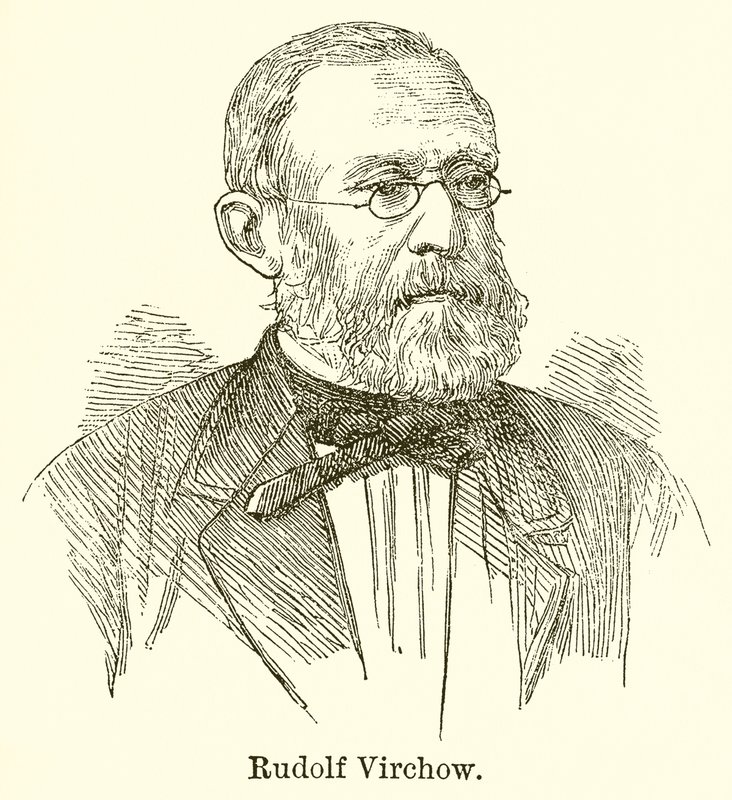 Rudolf Virchow de English School