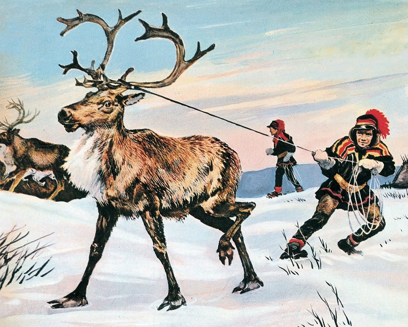 O nariz de Rudolph nunca é vermelho de English School