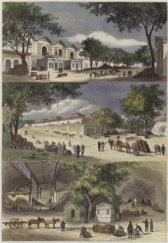 Ruas de Languedoc e Cote DOr de English School