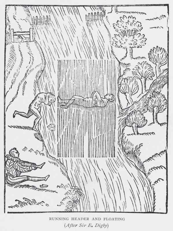 Cabeçalho de corrida e flutuante, após Sir E Digby (litho) de English School