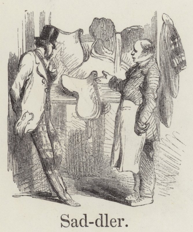 Saddler (gravura) de English School