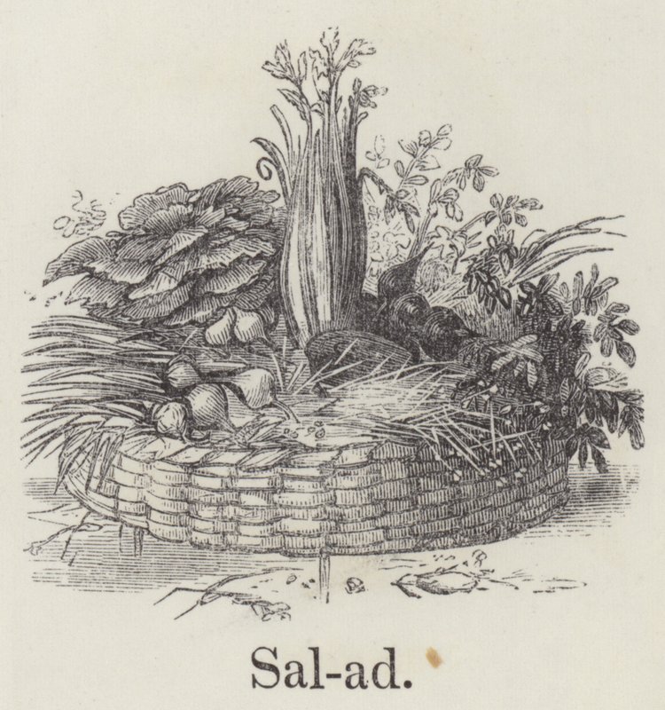 Salada (gravação) de English School