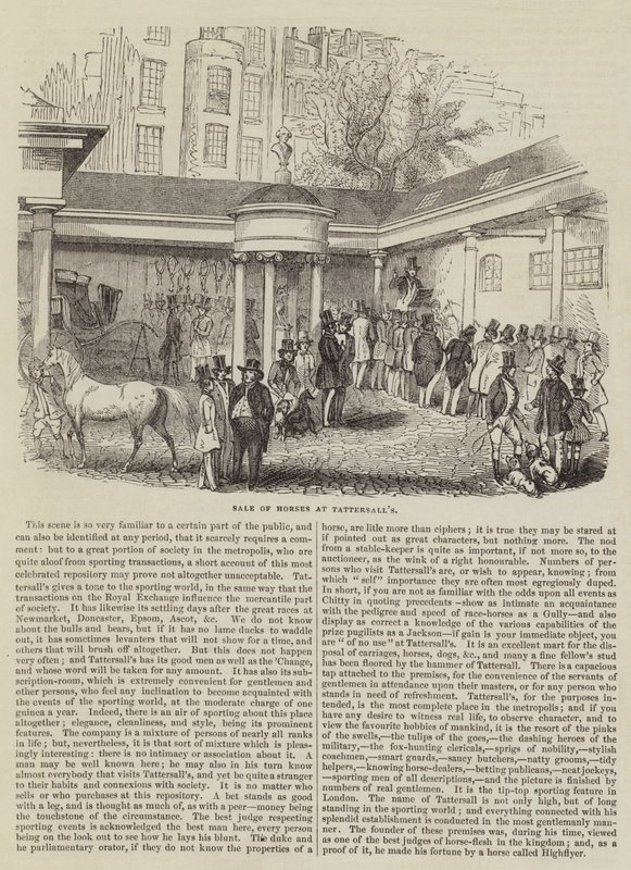 Venda de Cavalos na Tattersall