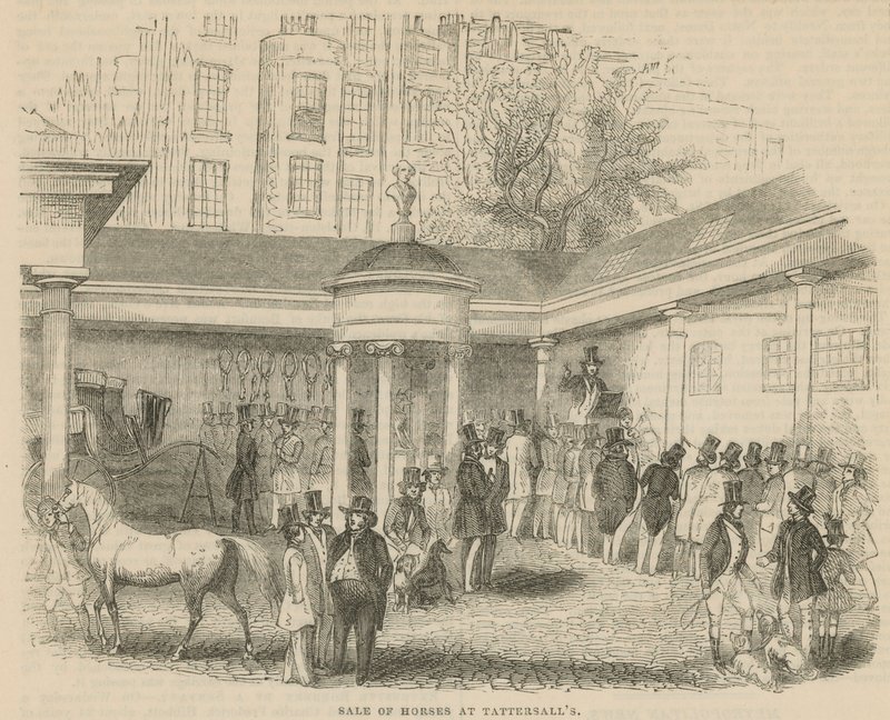 Venda de cavalos em Tattersalls de English School