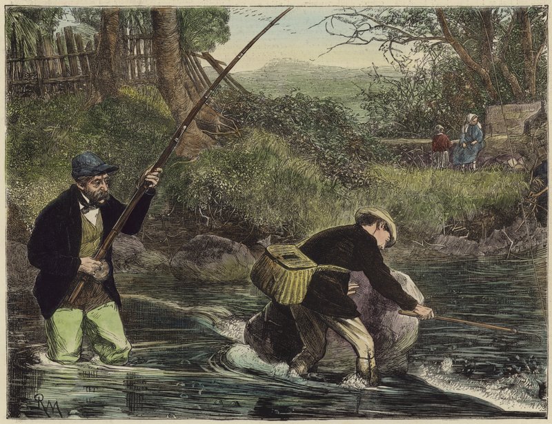 Pesca de salmão de English School