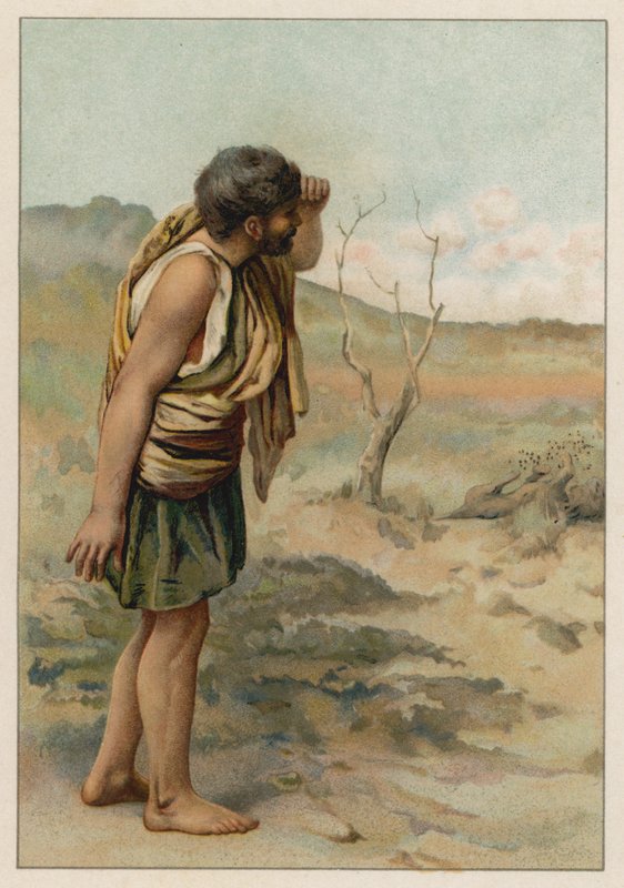 O enigma de Sansão (cromolito) de English School