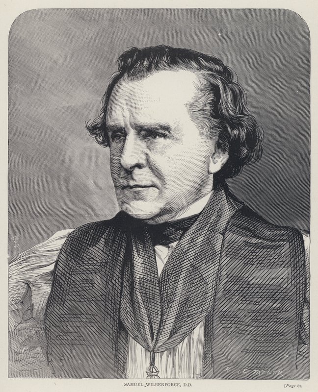 Samuel Wilberforce, DD (gravura) de English School