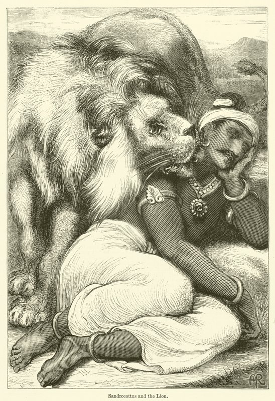Sandrocottus e o Leão (gravura) de English School