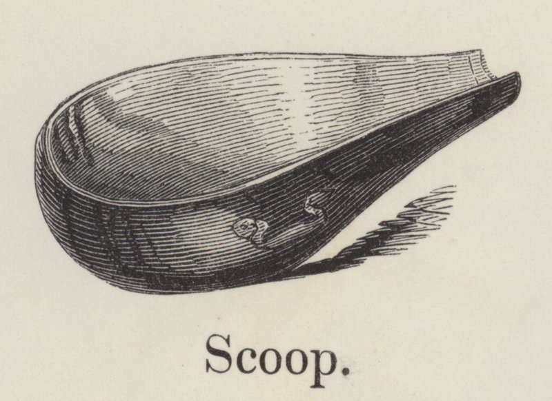 Scoop (gravura) de English School