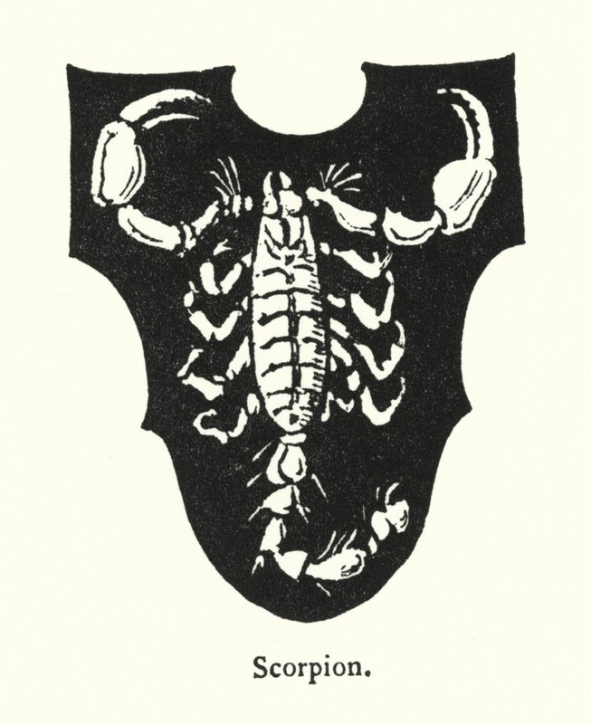 Escorpião (gravura) de English School