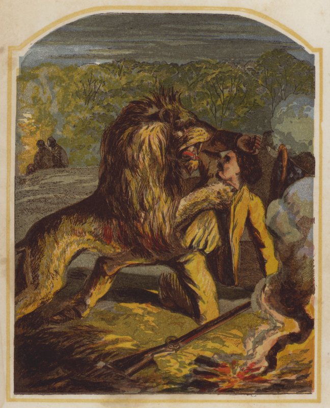 O missionário escocês David Livingstone atacado por um leão em África (cromolitografia) de English School