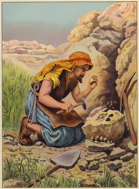 À procura de tesouros escondidos (cor litho) de English School