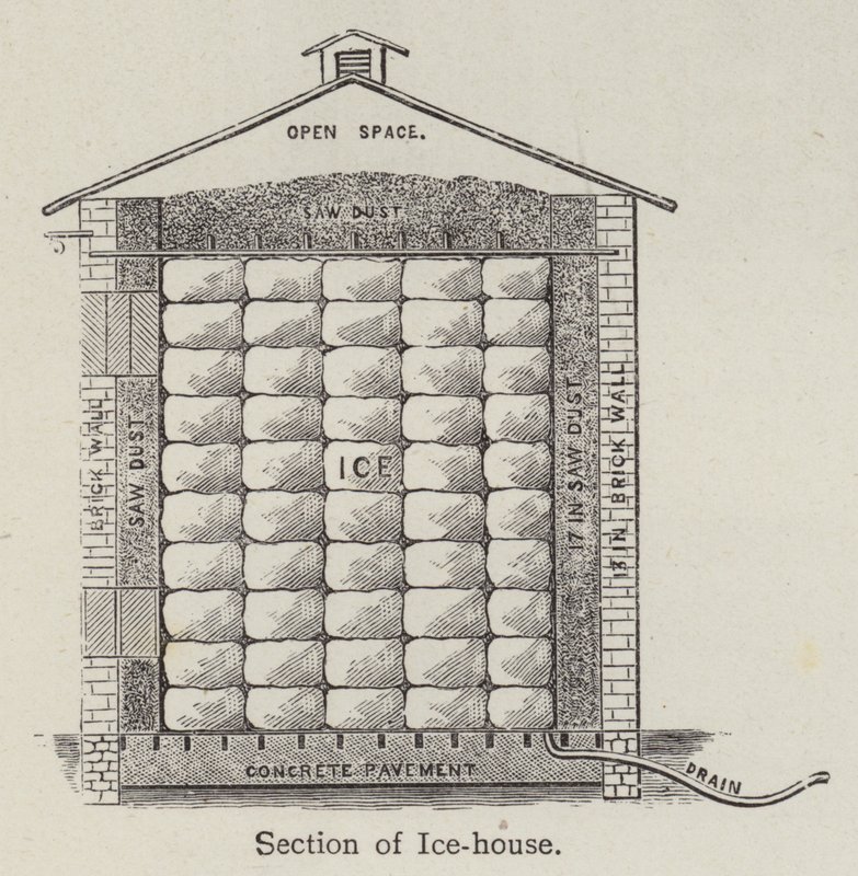 Secção da Casa do Gelo (litho) de English School