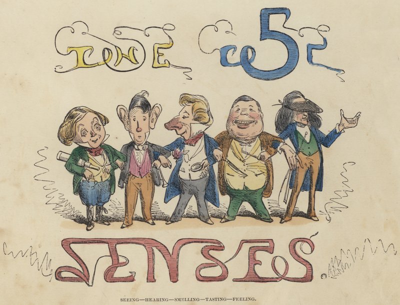 Ver, Ouvir, Cheirar, Degustar, Sentir (gravação colorida) de English School