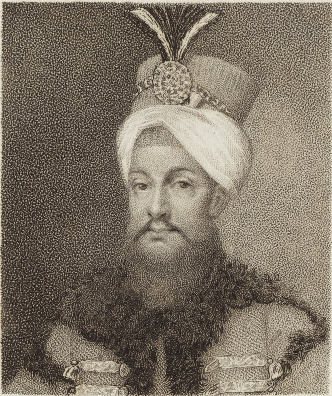 Selim II de English School