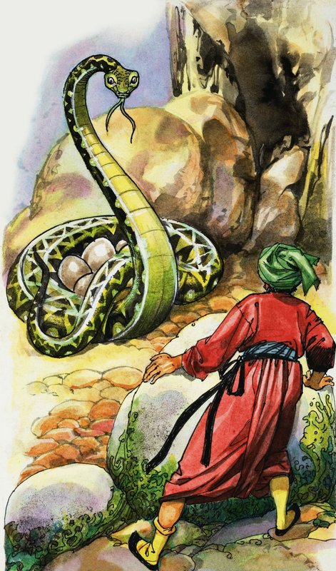 Serpente protegendo seus ovos de English School