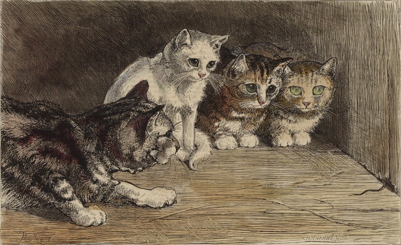 Vários gatos a olhar para a cauda de um rato (gravura colorida) de English School