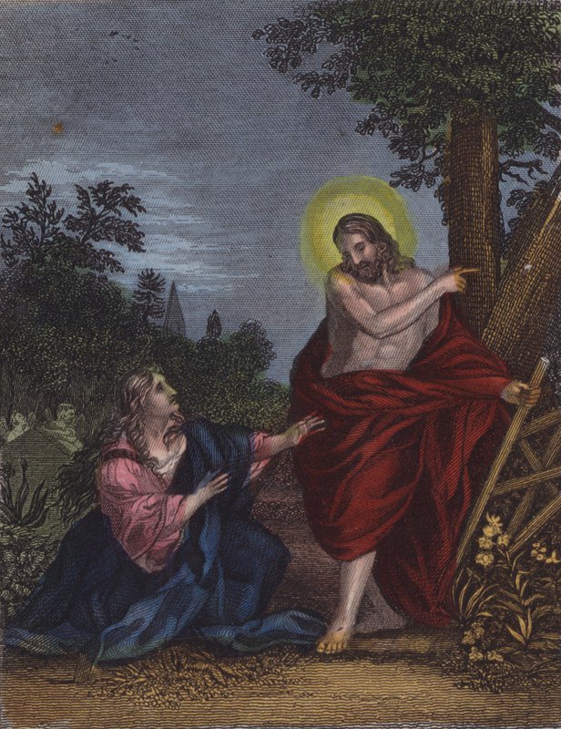 Ela, o jardineiro de Joseph que ele supõe, disse... (gravura colorida) de English School