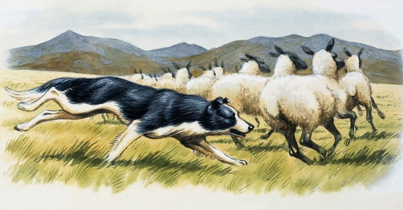 Cão de guarda de English School