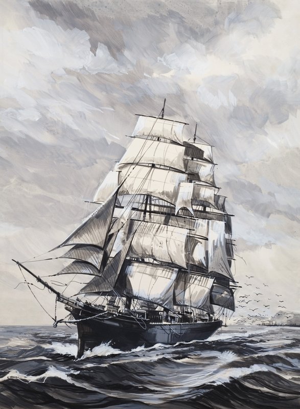 Navio de English School