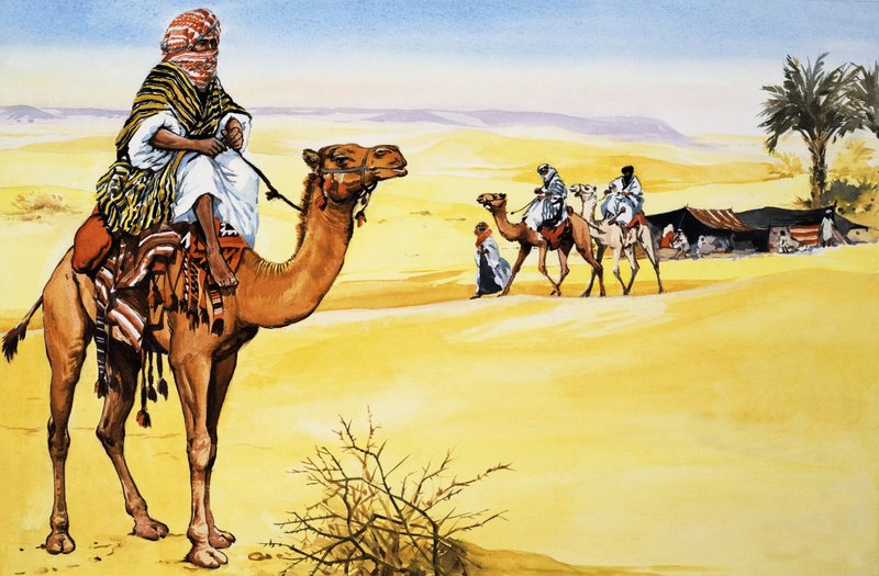 Navios do Deserto de English School
