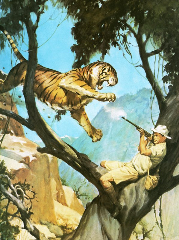 Atirando um tigre de English School