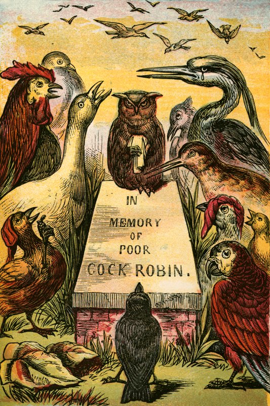 Suspirando e soluçando por pobre Cock Robin de English School