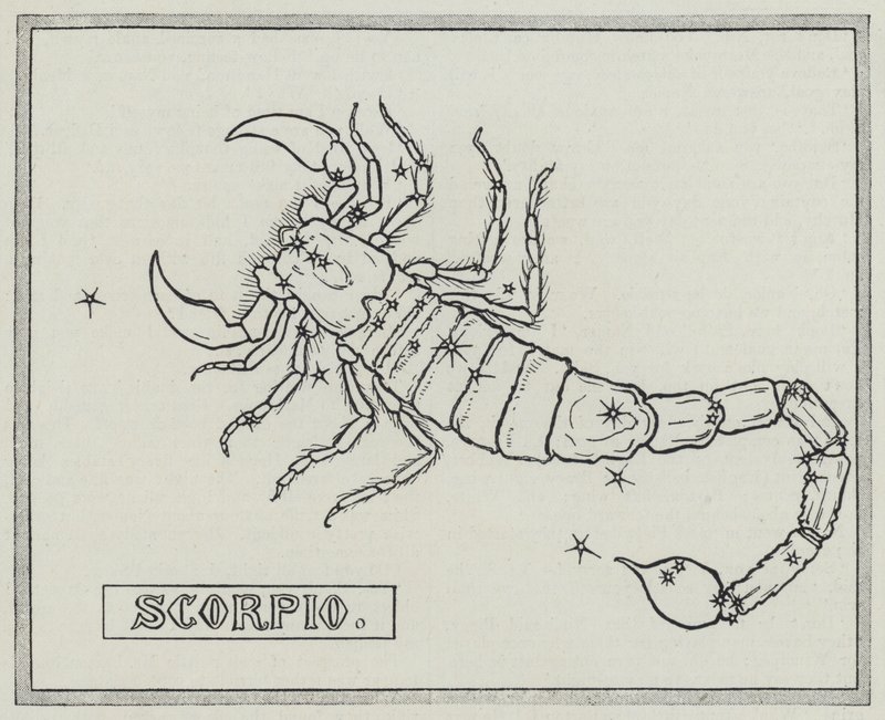 Sinais do zodíaco: Escorpião (gravura) de English School