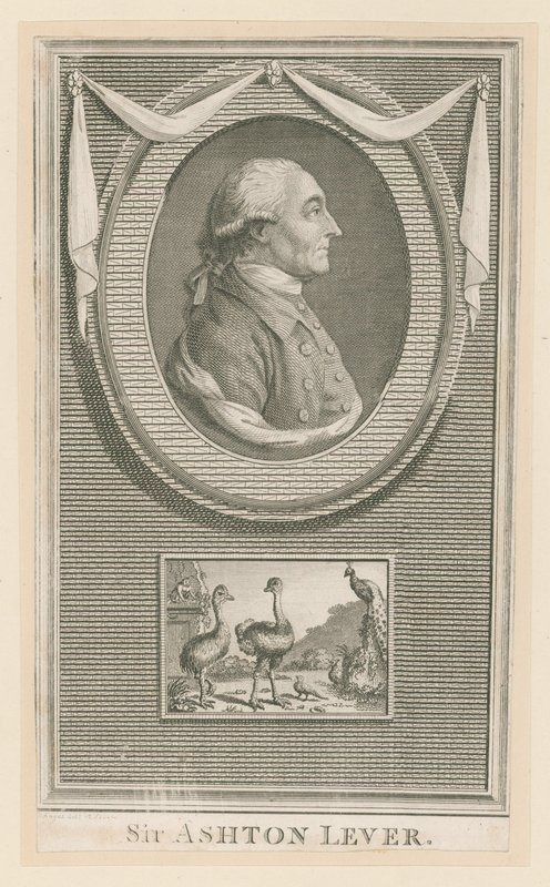 Sir Ashton Lever de English School