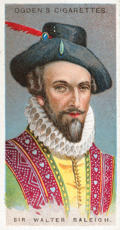 Sir Walter Raleigh de English School