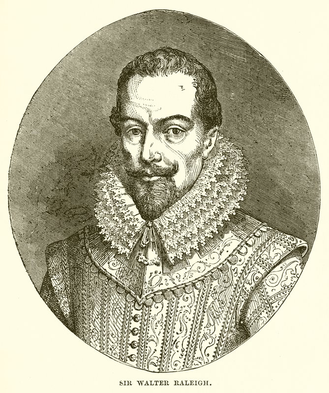 Sir Walter Raleigh de English School