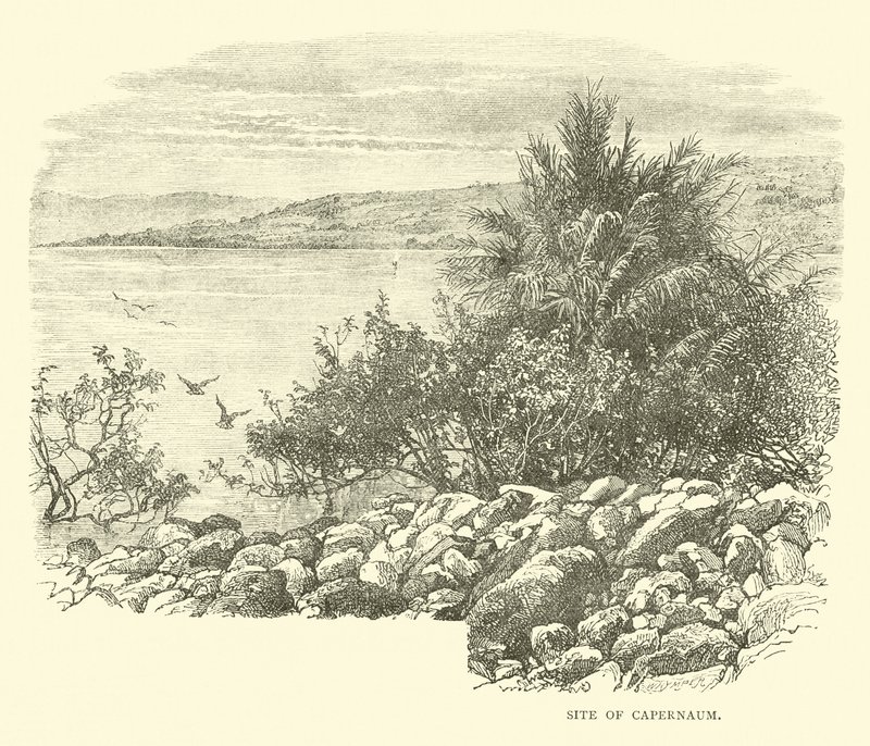 Site de Cafarnaum de English School