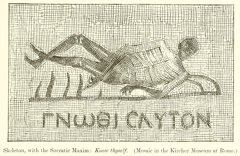 Esqueleto, com o Maxim Socrático: Conhece a ti mesmo. (Mosaico no Museu Kircher em Roma) de English School