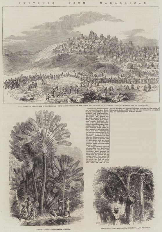 Esboços de Madagascar (gravura) de English School