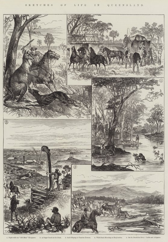 Sketches of Life in Queensland (gravura) de English School