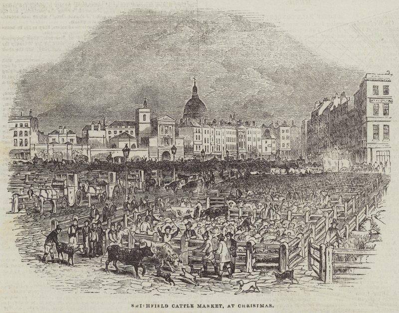 Smithfield Cattle Market, no Natal (gravura) de English School
