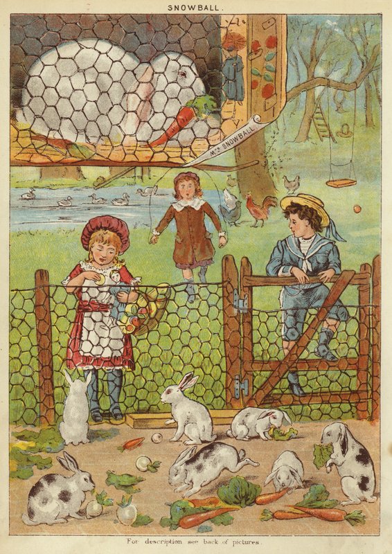 Bola de neve (chromolitho) de English School